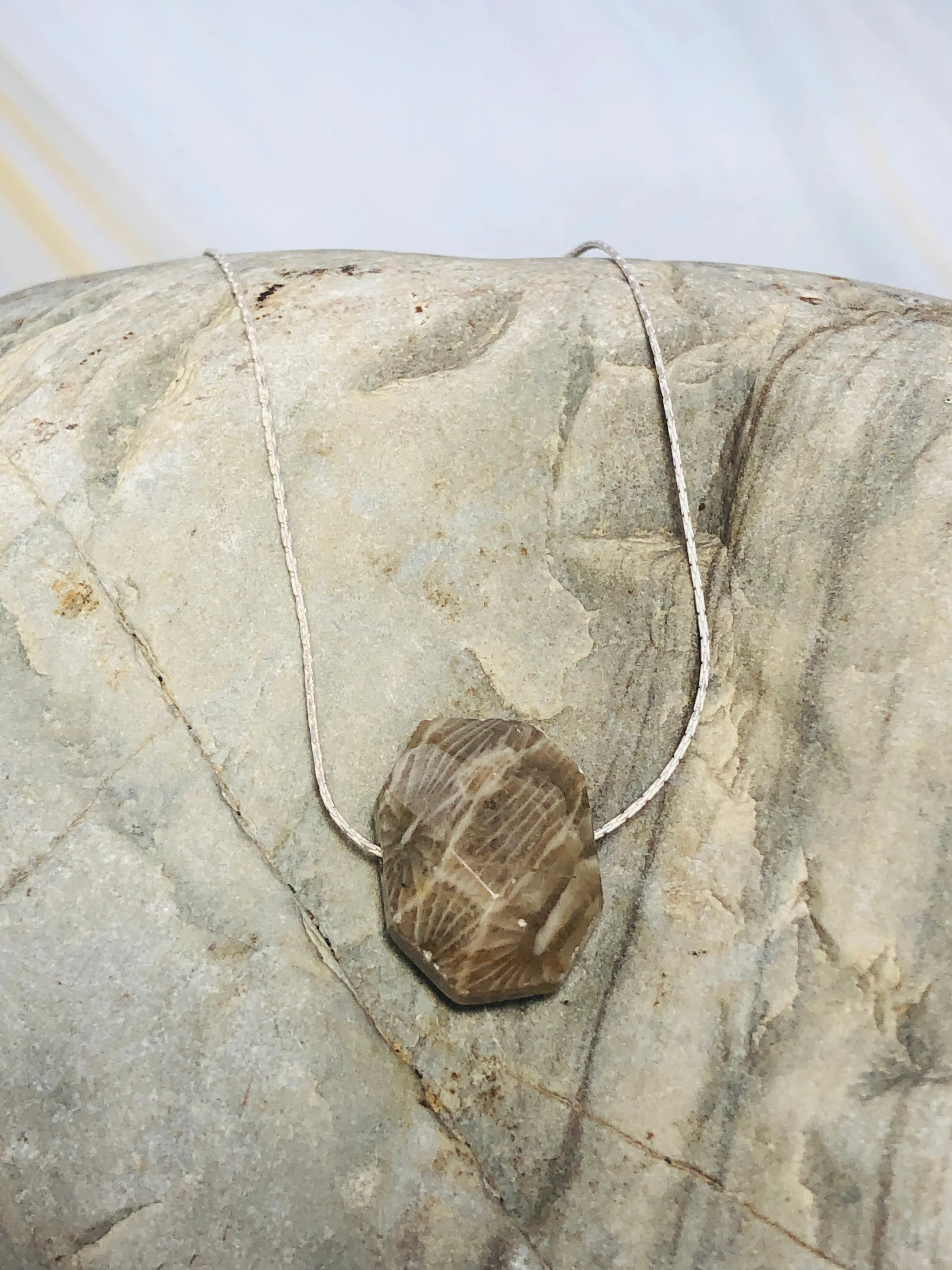 Petoskey Stone Necklace, Simple Silver Petoskey Stone Necklace