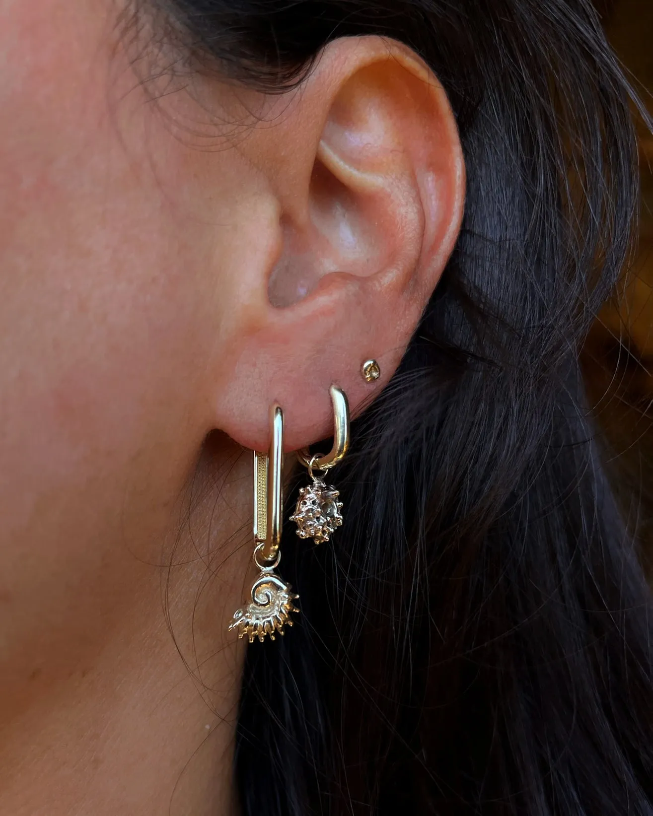 Sundial Shell Earring | Gold