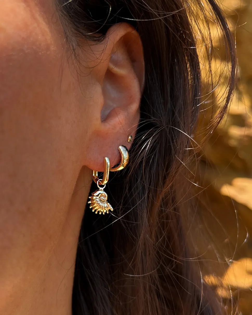 Sundial Shell Earring | Gold