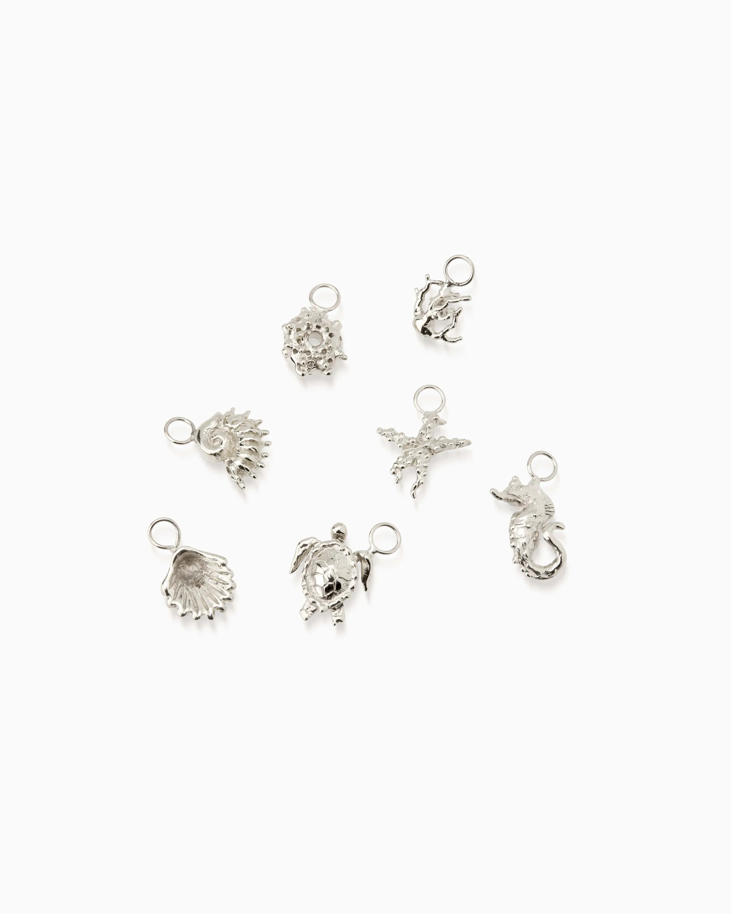 Sundial Shell Earring | Silver