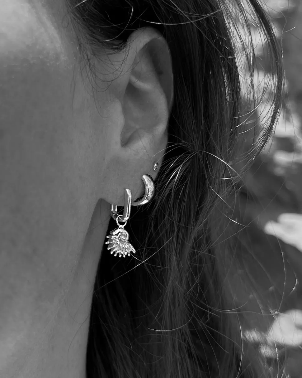 Sundial Shell Earring | Silver