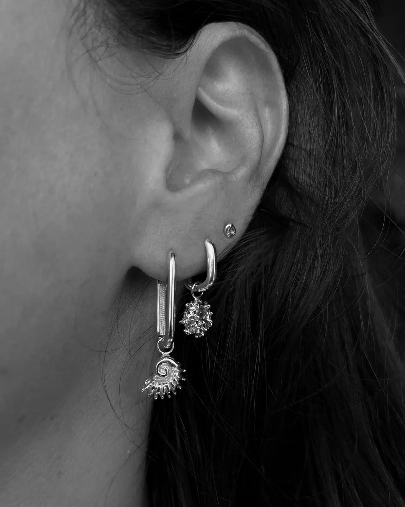 Sundial Shell Earring | Silver